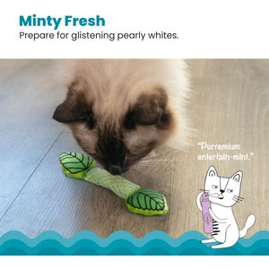 Catstages Fresh Breath Mint Stick Cat Chew Toy