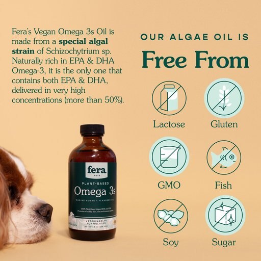 Fera Pet Organics Vegan Omega-3s Algae Oil Supplement for Dogs & Cats, 8-oz bottle