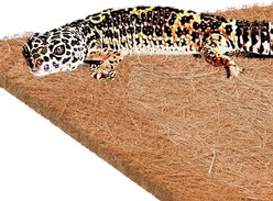 SunGrow Reptile Carpet Mat for Gecko & Hermit Crab, Coconut Fiber Substrate Bedding Terrarium Liner slide 2 of 5