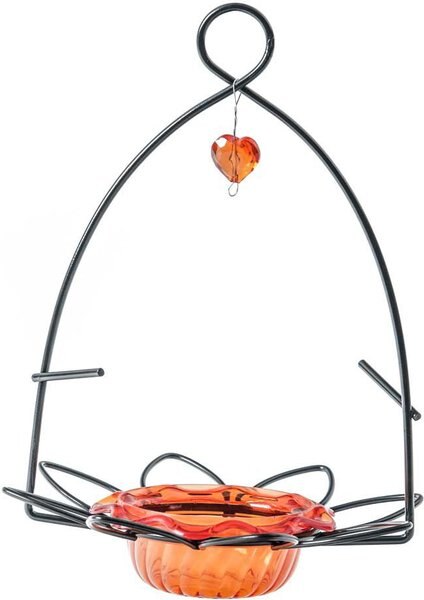 Birds Choice Nectar & Jelly Oriole Bird Feeder, Orange, 2 cups