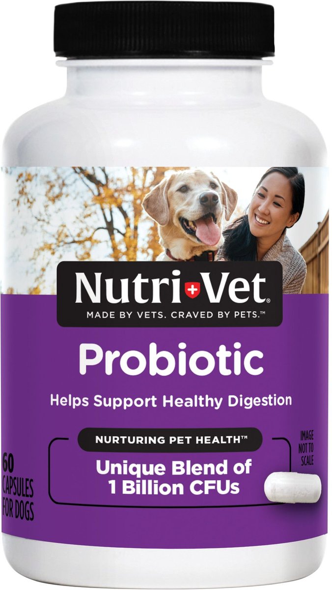 Probiotic capsules sale for dogs