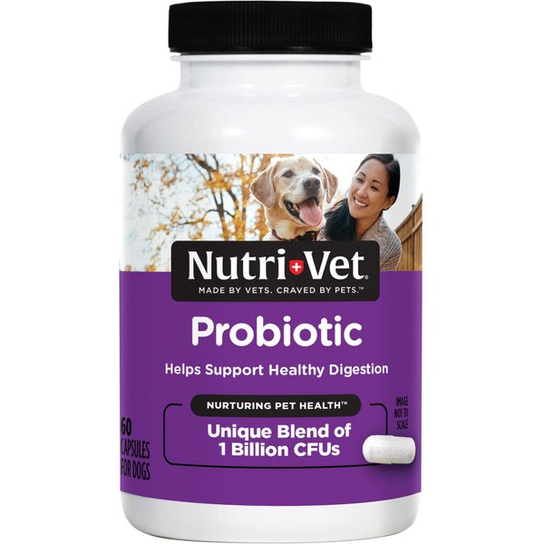 NUTRI-VET Probiotics Capsules Digestive Supplement for Dogs, 60 count ...