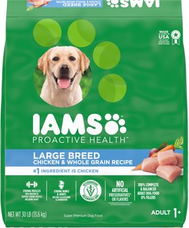 IAMS Proactive Health Large Breed Adult with Real Chicken Dry Dog