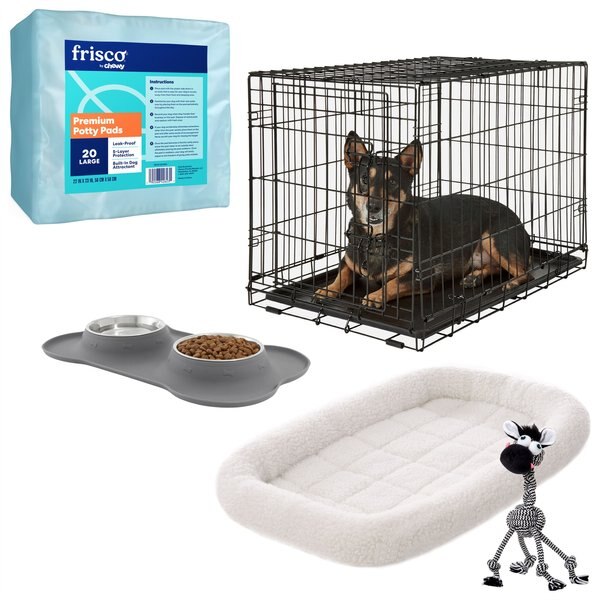 Starter Kit - Frisco Fold & Carry Single Door Collapsible Wire Dog Crate, 30 inch + 4 other items slide 1 of 9