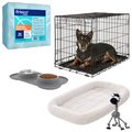 Starter Kit - Frisco Fold & Carry Single Door Collapsible Wire Dog Crate, 30 inch + 4 other items
