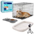 Starter Kit - Frisco Fold & Carry Single Door Collapsible Wire Dog Crate, 36 inch + 4 other items
