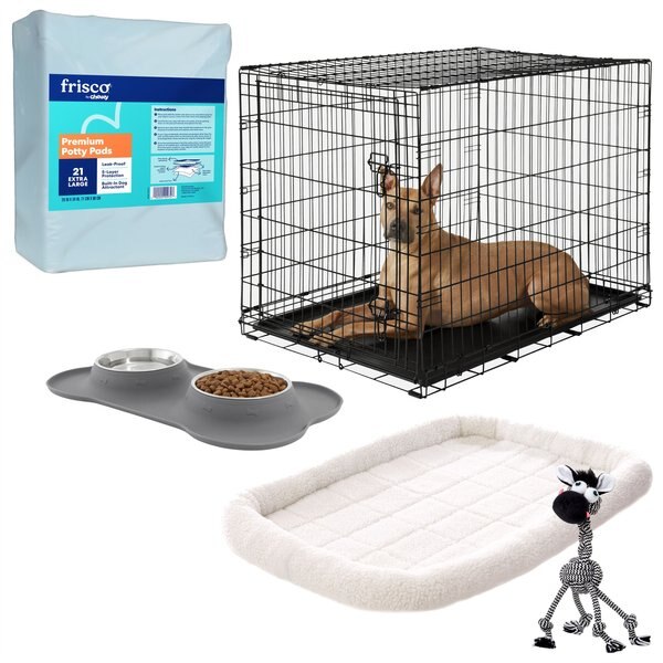 Starter Kit - Frisco Fold & Carry Single Door Collapsible Wire Dog Crate, 42 inch + 4 other items slide 1 of 9