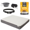 Puppy Kit - Frisco Orthopedic Pillow Cat & Dog Bed, Gray, Medium + 4 other items