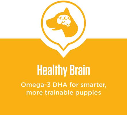 Show full view: Iams Proactive Health Smart Puppy with Real Chicken Dry Dog Food, 30-lb bag slide 4 of 10