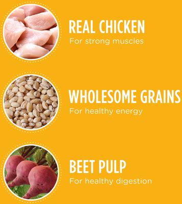 Show full view: Iams Proactive Health Smart Puppy with Real Chicken Dry Dog Food, 30-lb bag slide 5 of 10