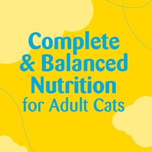 Temptations Birthday Lobster & Beef Flavored Crunchy Cat Treats, 6.3-oz bag