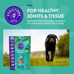 NaturVet Evolutions Full Spectrum Joint Soft Chew Supplement for Adult Dogs, 30 count