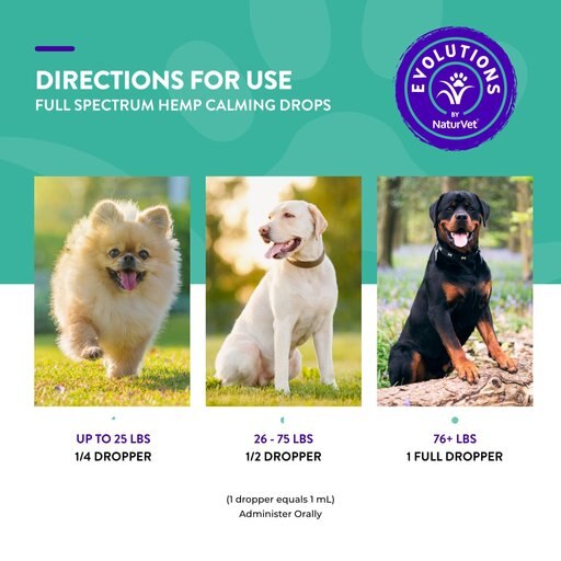 NaturVet Evolutions Full Spectrum Calming Liquid Supplement for Adult Dogs, 1-oz bottle