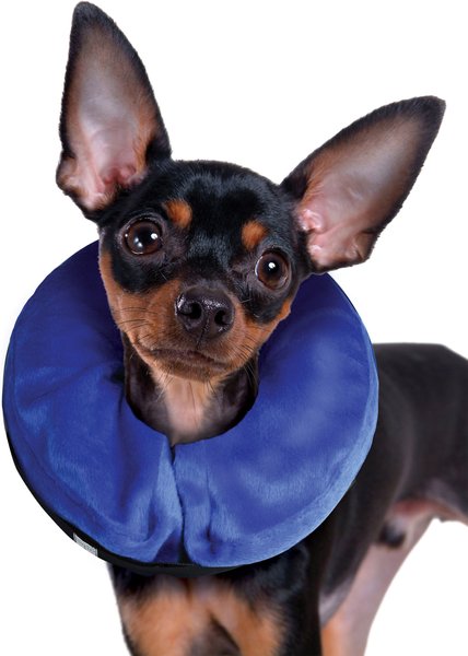 KONG Cloud Collar for Dogs & Cats, Small slide 1 of 8