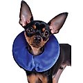 KONG Cloud Collar for Dogs & Cats, Small