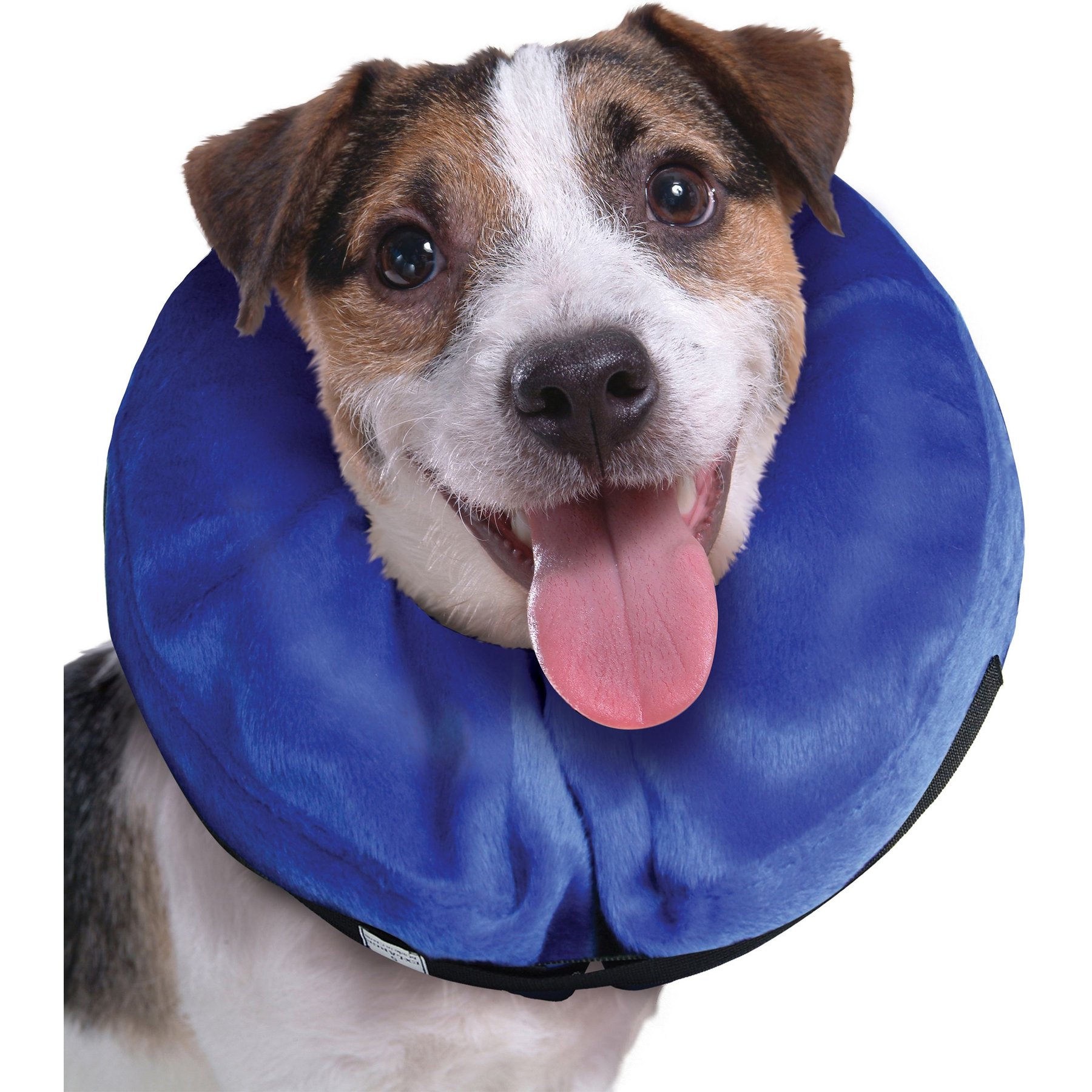 Balloon cone for dogs best sale