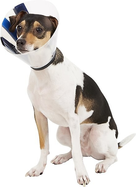 KONG EZ Clear Collar for Dogs & Cats, Medium slide 1 of 6