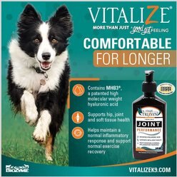 Trixsyn Canine Performance Dog Supplement, 6-oz bottle slide 2 of 5
