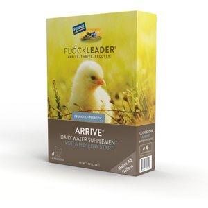 FlockLeader Arrive Poultry Supplement, 8-oz bag