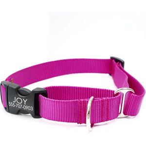 Mimi Green Personalized Nylon Martingale with Black Plastic Buckle Dog Collar, Raspberry, Large