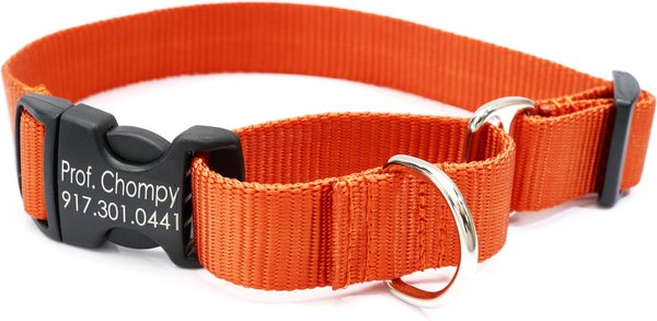 Mimi Green Personalized Nylon Martingale with Black Plastic Buckle Dog Collar, Pumpkin, Large slide 1 of 6