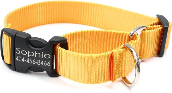 Mimi Green Personalized Nylon Martingale w/Black Plastic Buckle Dog Collar, Yellow, Medium 5/8'' slide 1 of 6
