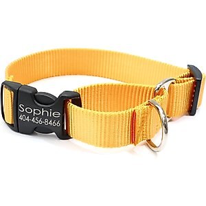 Mimi Green Personalized Nylon Martingale with Black Plastic Buckle Dog Collar, Yellow, X-Large