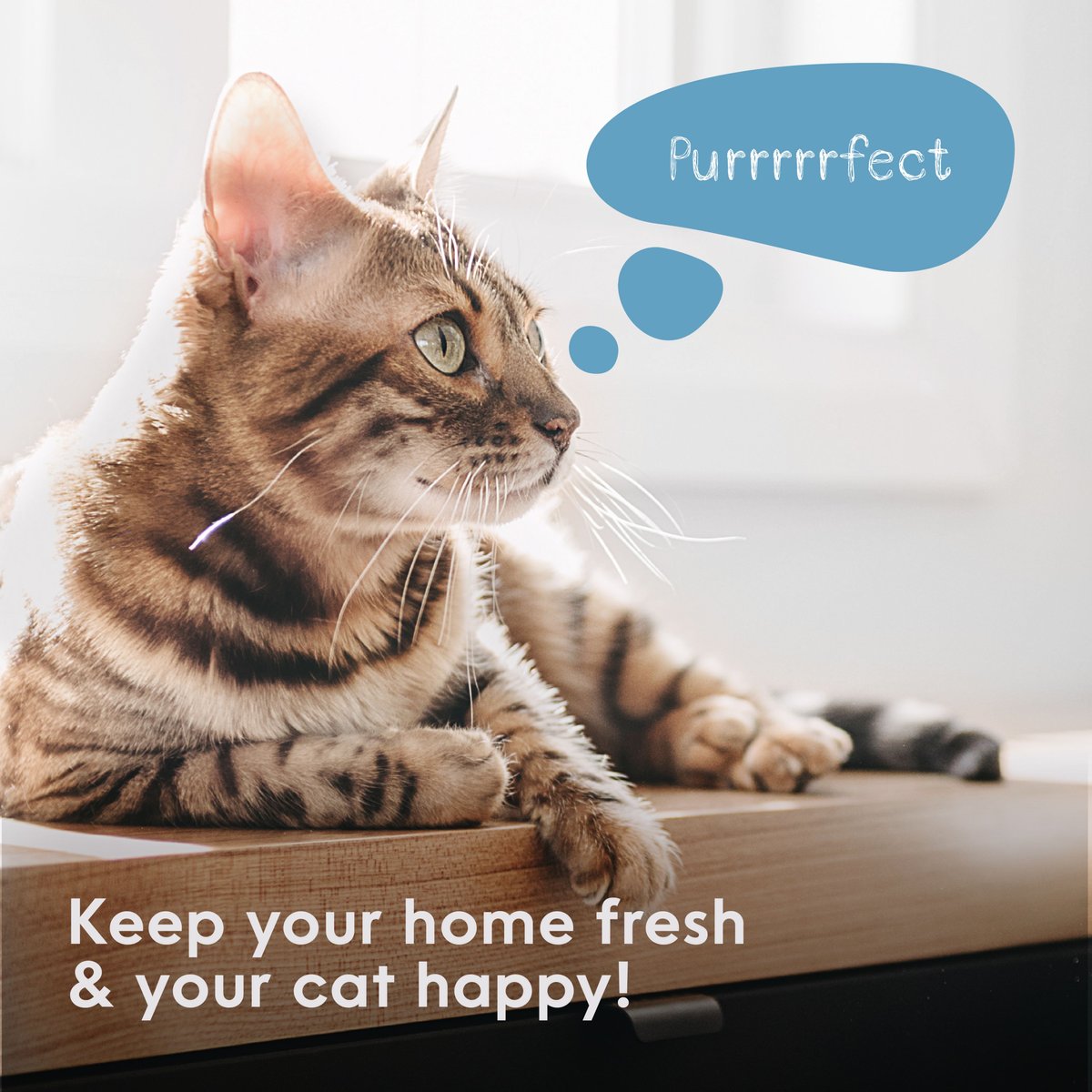 LITTER GENIE Plus Cat Litter Disposal System, Silver