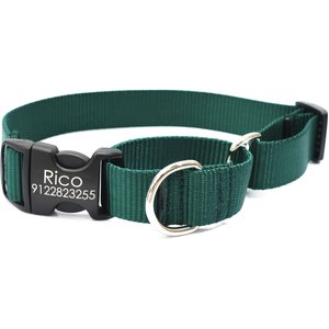 Mimi Green Personalized Nylon Martingale with Black Plastic Buckle Dog Collar, Forest Green, Giant