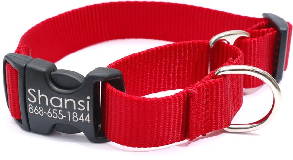 Mimi Green Personalized Nylon Martingale w/Black Plastic Buckle Dog Collar, Red, Medium 5/8'' slide 1 of 6