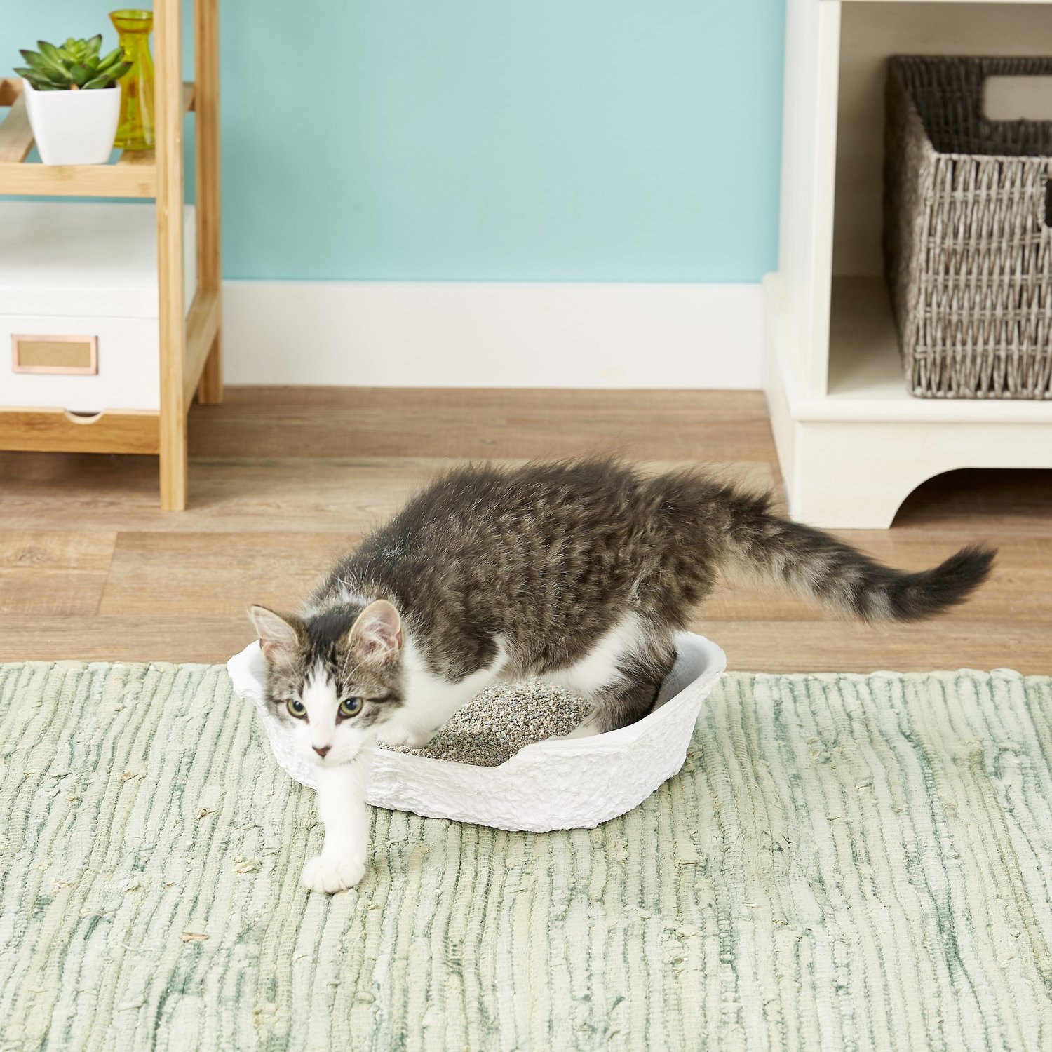 NATURE'S MIRACLE Small Disposable Cat Litter Box