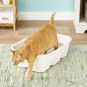 Nature's Miracle Disposable Cat Litter Box, Jumbo, 2 count
