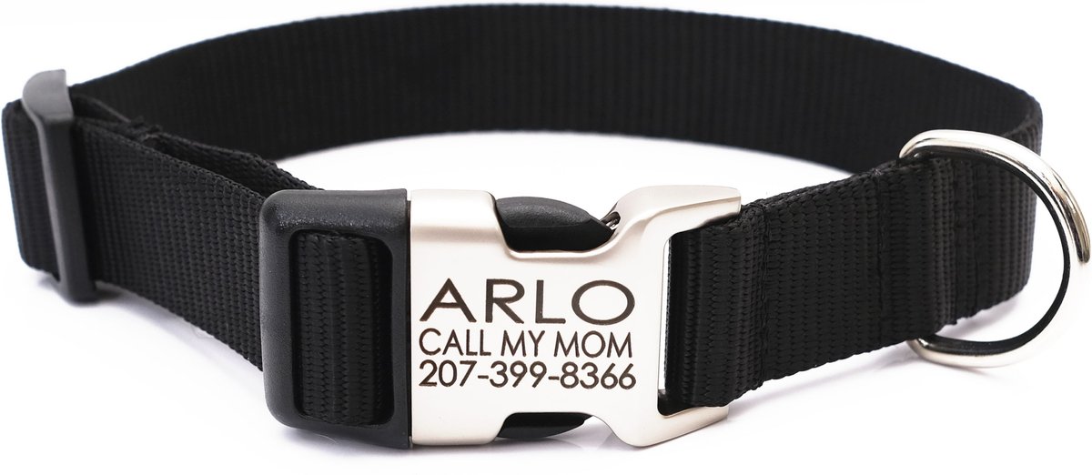 Metal buckle deals dog collars