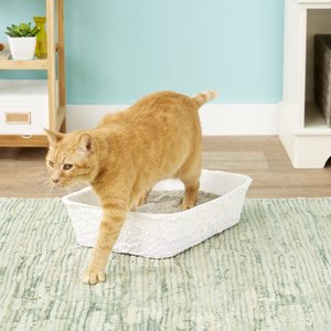 Kitty's WonderBox Disposable Litter Box, 1 count