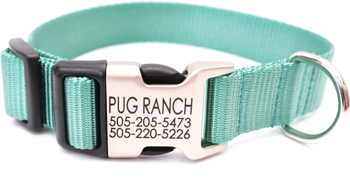 MIMI GREEN Personalized Nylon with Metal Hybrid Buckle Dog Collar, Teal