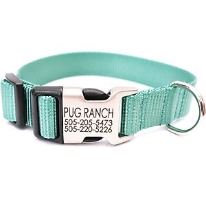 Mimi Green Personalized Nylon with Metal Hybrid Buckle Dog Collar, Teal, Medium 1"