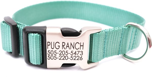 Mimi Green Personalized Nylon w/Metal Hybrid Buckle Dog Collar, Teal, Large slide 1 of 6