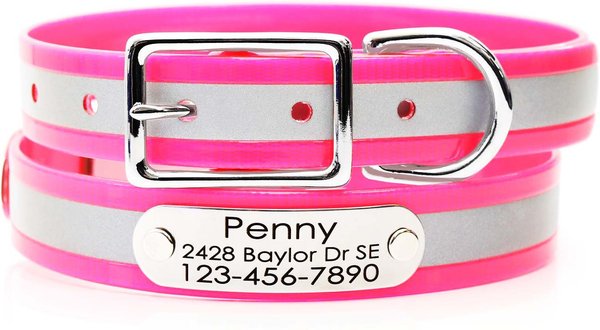 MIMI GREEN Waterproof Reflective with Riveted Name Plate Dog Collar ...