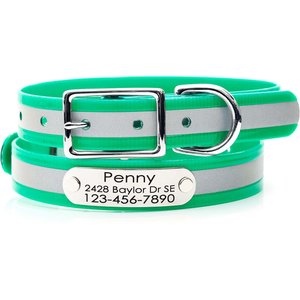 Mimi Green Waterproof Reflective with Riveted Name Plate Dog Collar, Green, Medium 3/4"