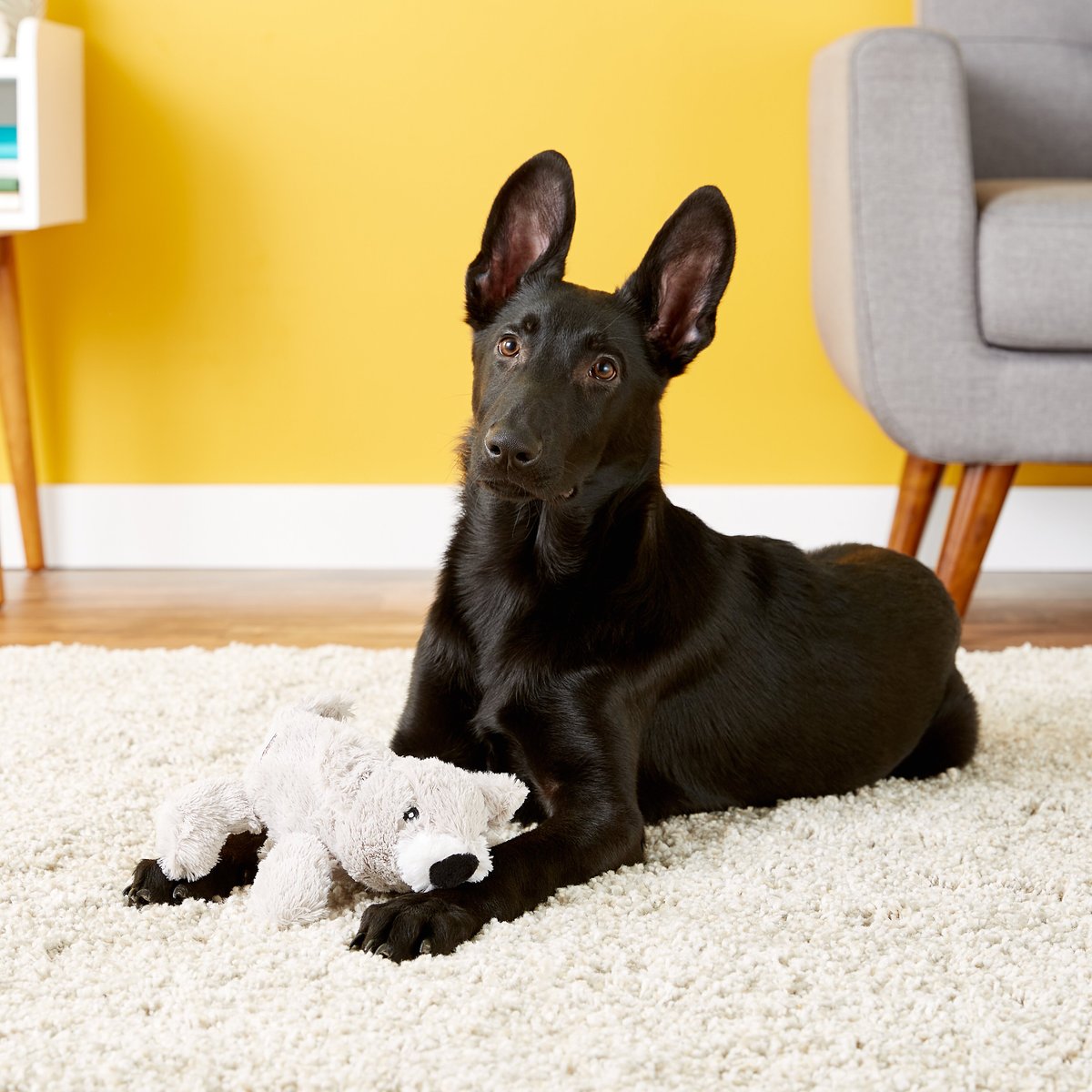 KONG Cozie Buster the Koala Dog Toy