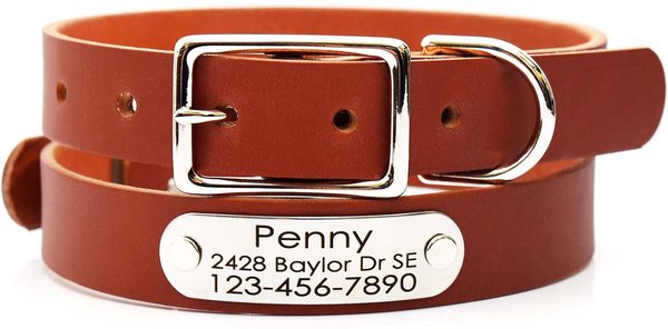 Mimi Green Leather with Personalized Name Plate Dog Collar, Chestnut, Large 1 slide 1 of 6