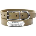 Mimi Green Waterproof with Riveted Name Plate Dog Collar, Olive, Large 1"
