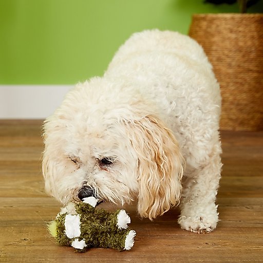 KONG Plush Frog Dog Toy, X-Small