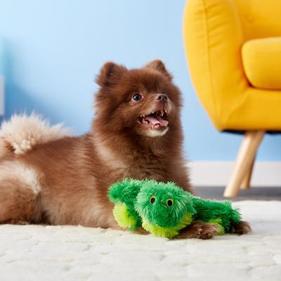 Show full view: KONG Plush Frog Dog Toy, Medium slide 4 of 6