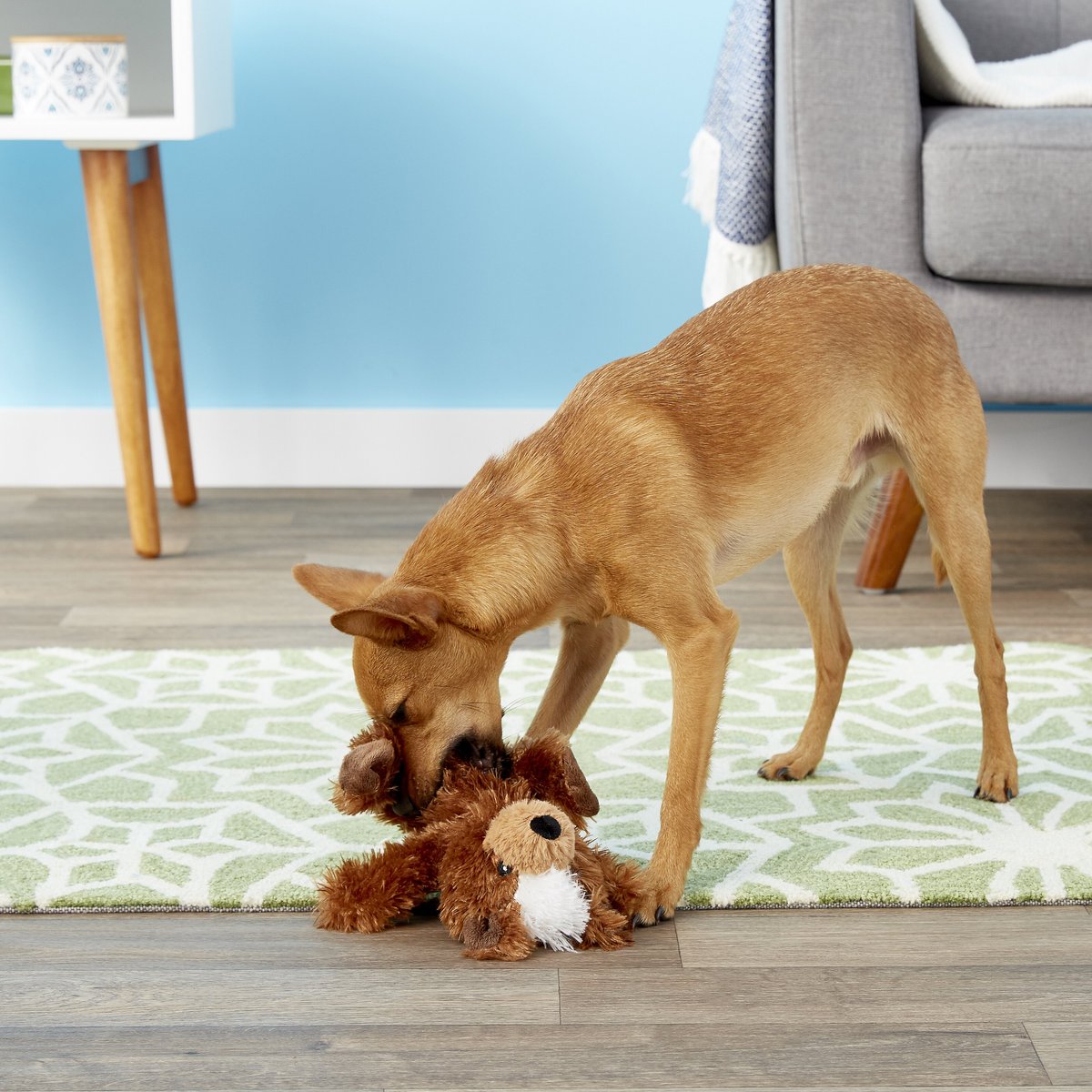 KONG Plush Teddy Bear Dog Toy, Medium