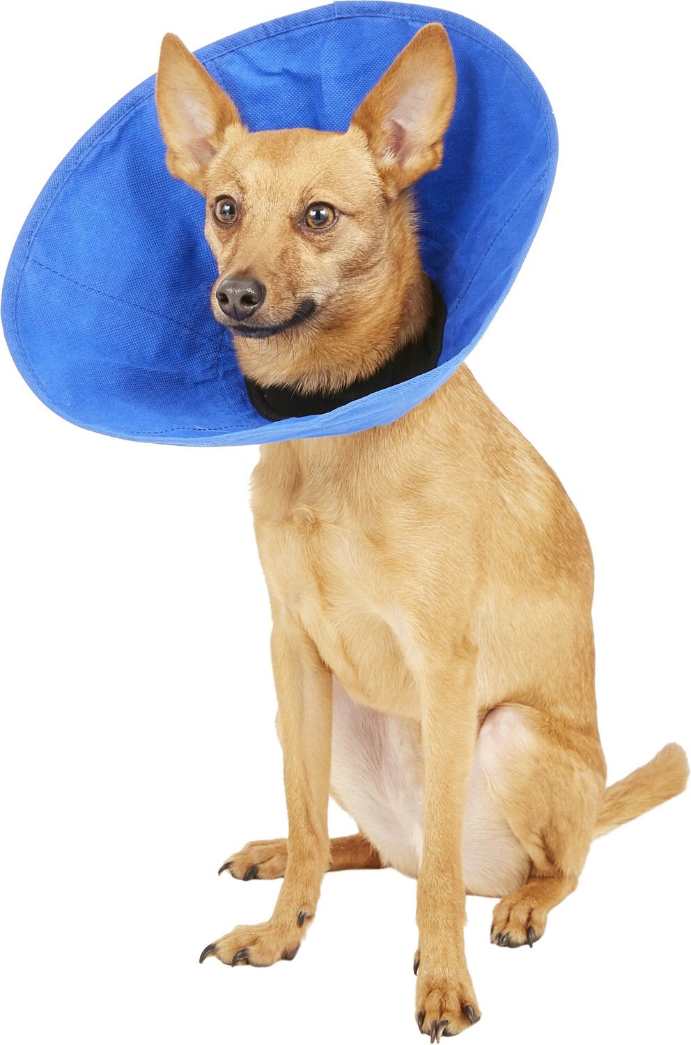 NACOCO Pet E-Collar Elizabethan Collars Recovery Pet Cone for Cats and Small Dogs Breathable Soft Edge and Easy to Clean 