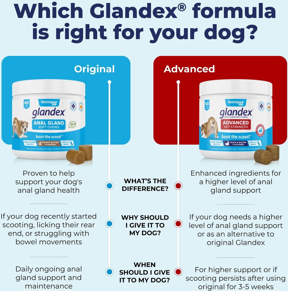 Chewy glandex cheap