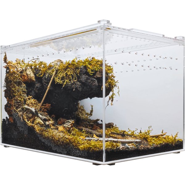 HERPCULT Acrylic Insect & Reptile Terrarium, Opaque Top, Large - Chewy.com