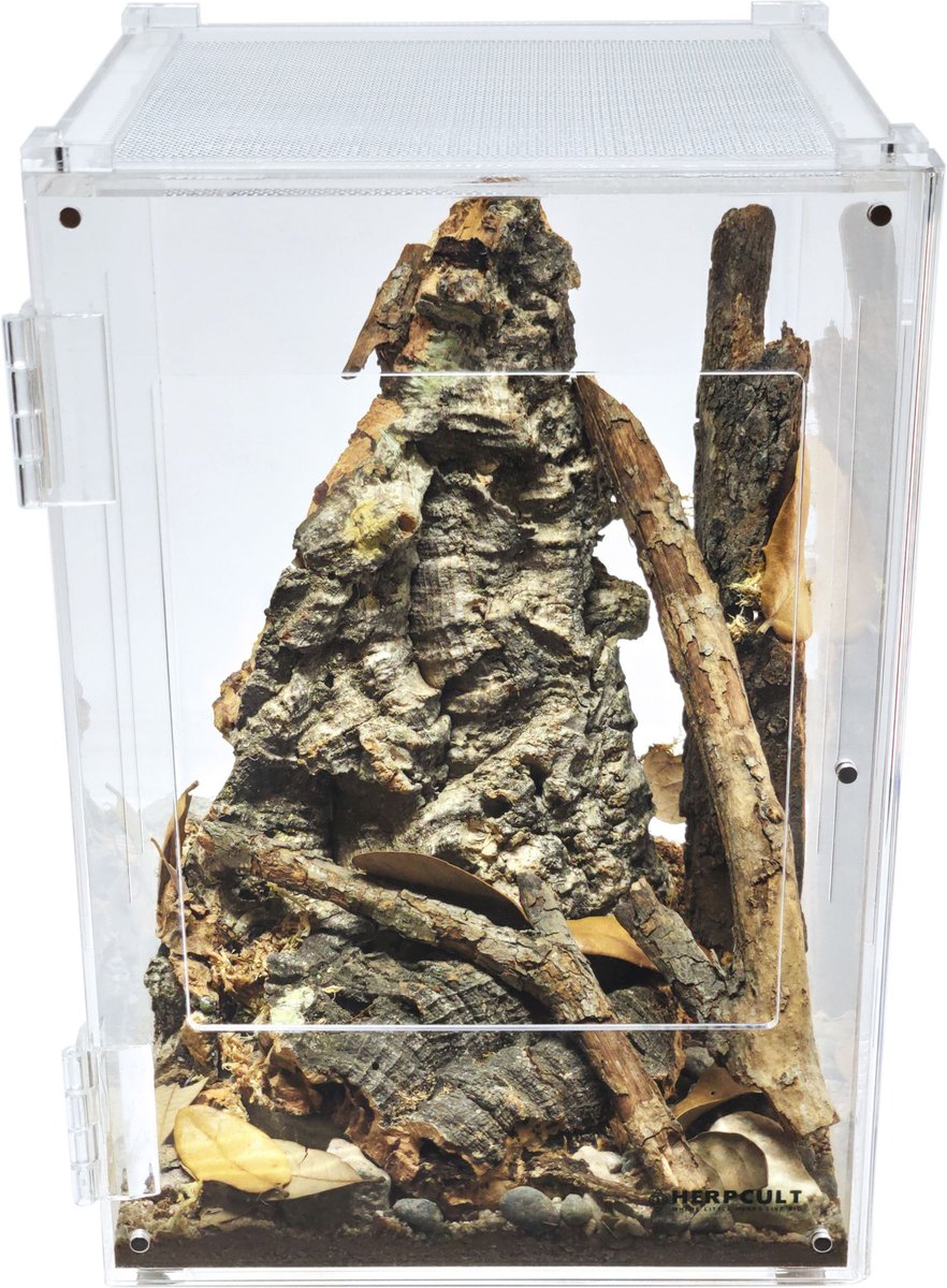 HERPCULT Acrylic Front-Opening Reptile Enclosure, 3.3-gal - Chewy.com