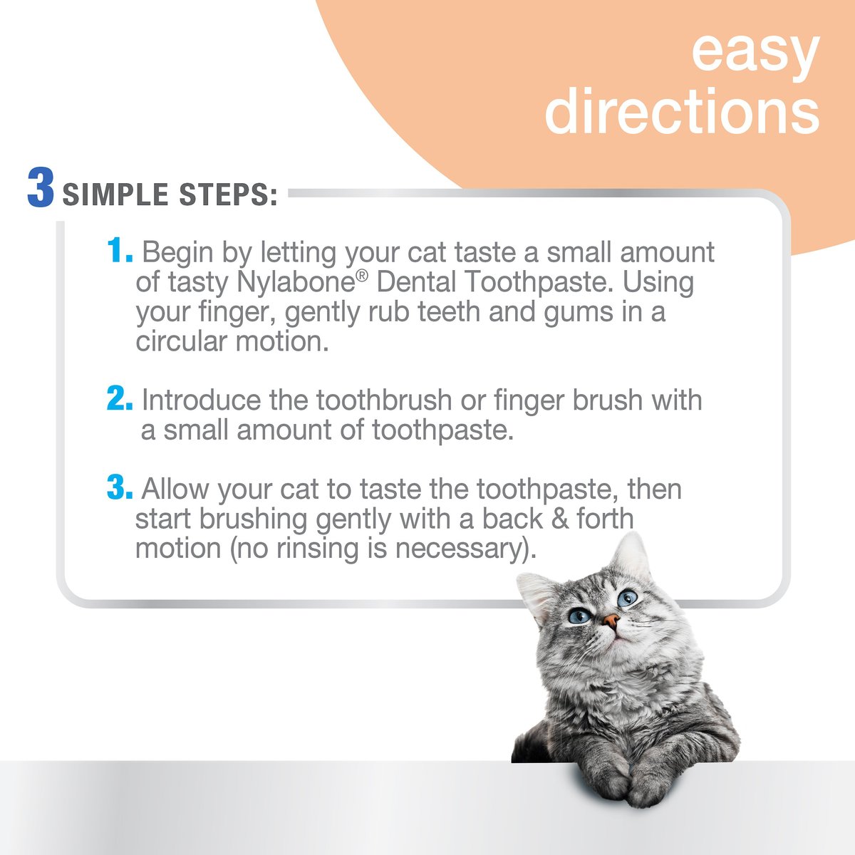 Chewy top cat toothpaste